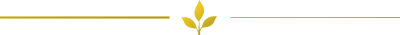 harmoniadrewna separator listek z logo